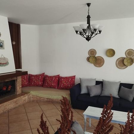 Elea Home Apartments 알렉산드로폴리스 외부 사진