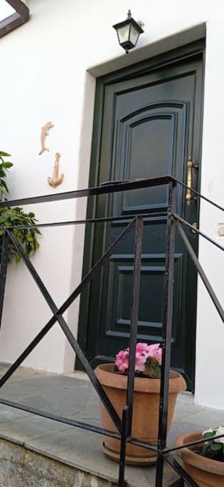 Elea Home Apartments 알렉산드로폴리스 외부 사진