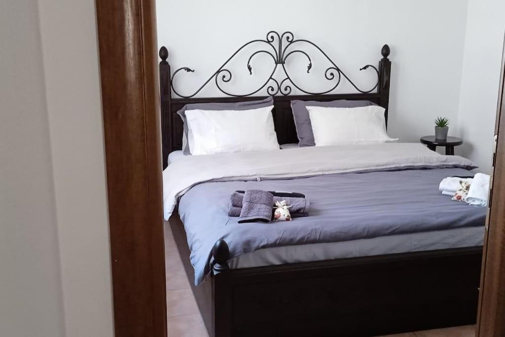 Elea Home Apartments 알렉산드로폴리스 외부 사진