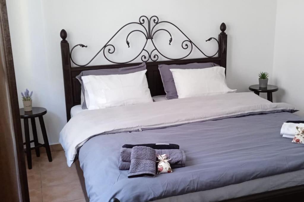 Elea Home Apartments 알렉산드로폴리스 외부 사진