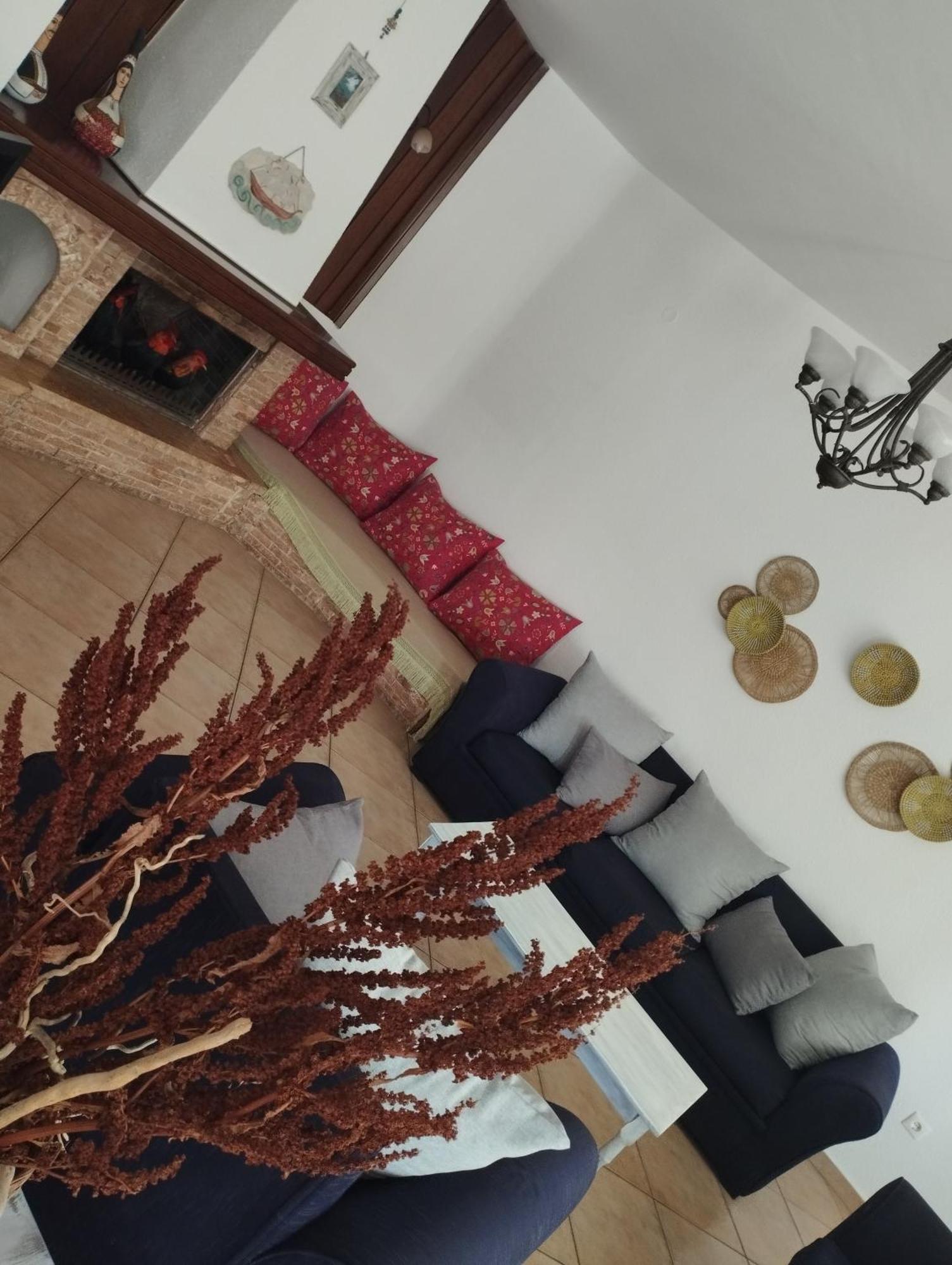 Elea Home Apartments 알렉산드로폴리스 외부 사진